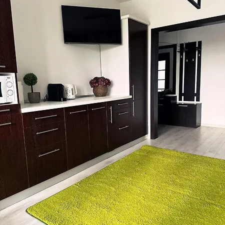 Cozy Brasov Getaway-3